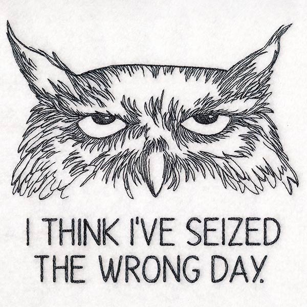I Think I've Seized the Wrong Day Owl