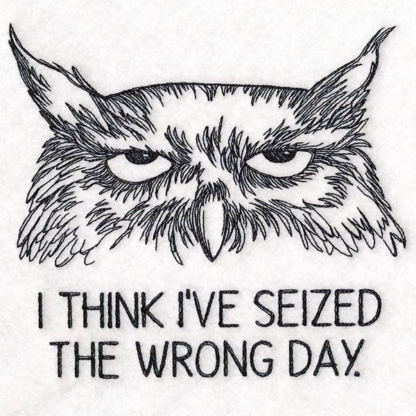 I Think I've Seized the Wrong Day Owl