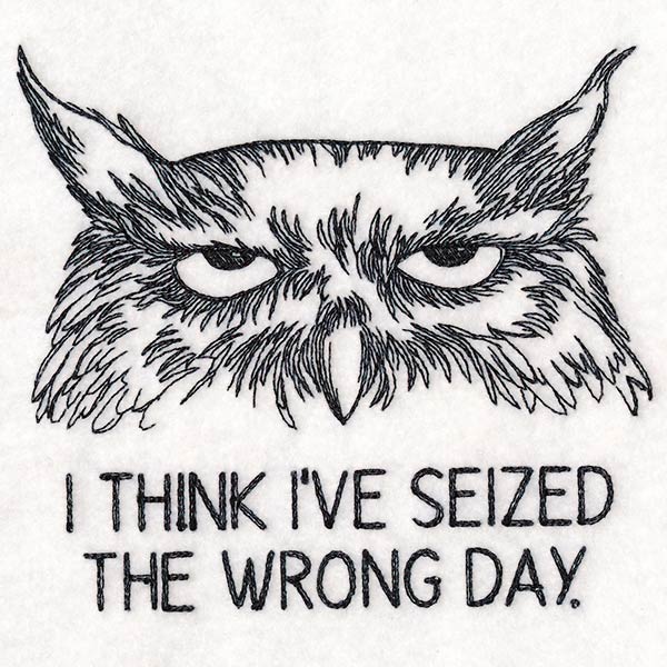I Think I've Seized the Wrong Day Owl