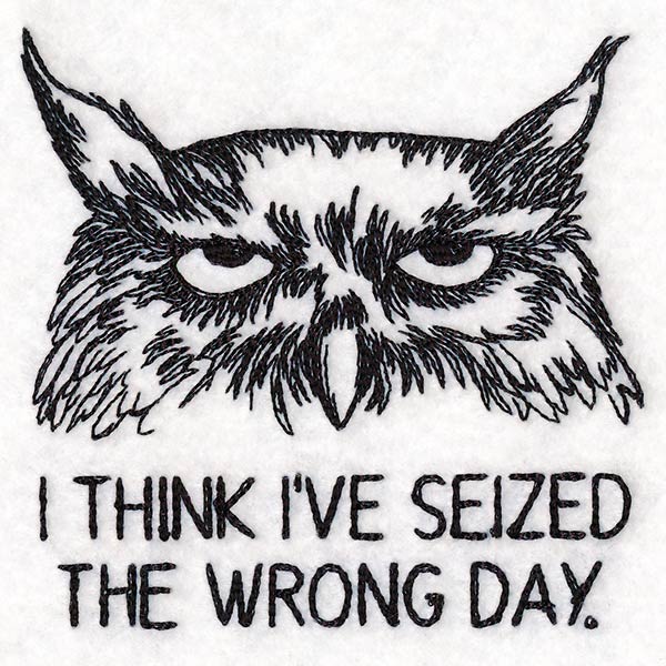 I Think I've Seized the Wrong Day Owl