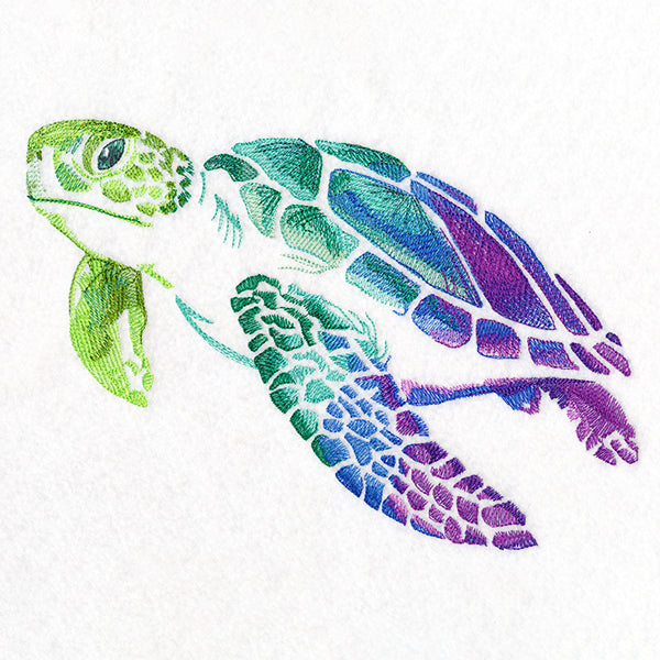 Spectrums of the Ocean Sea Turtle