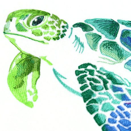 Spectrums of the Ocean Sea Turtle