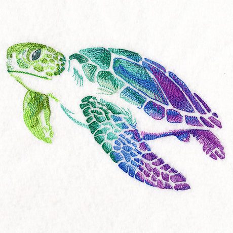 Spectrums of the Ocean Sea Turtle