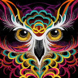 Bold Style Owl