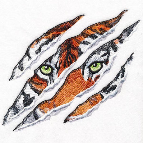 Hear Me Roar Tiger