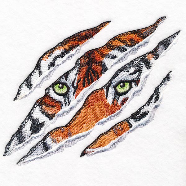 Hear Me Roar Tiger