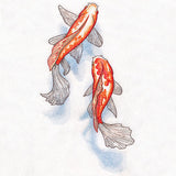 Koi and Shadows
