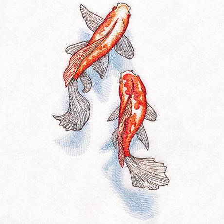 Koi and Shadows