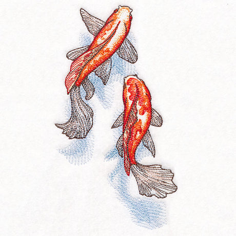 Koi and Shadows