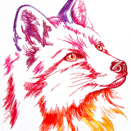 Rainbow Fox