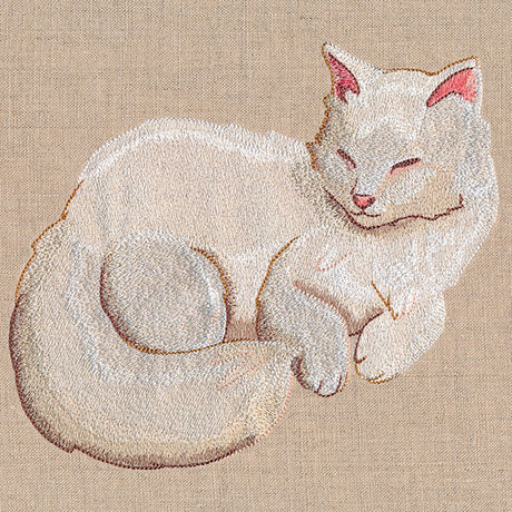 Soft & Sheer Cat
