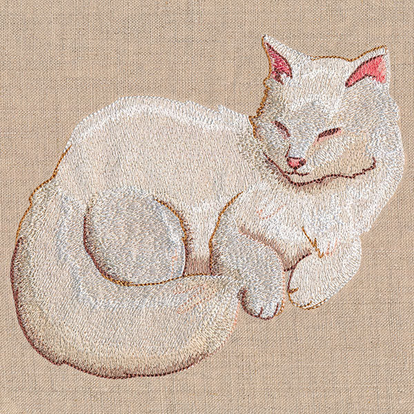Soft & Sheer Cat