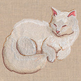 Soft & Sheer Cat