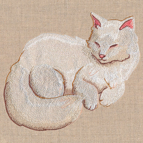 Soft & Sheer Cat
