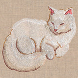 Soft & Sheer Cat