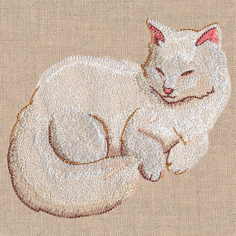 Soft & Sheer Cat