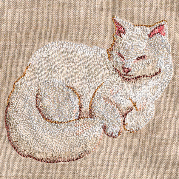 Soft & Sheer Cat