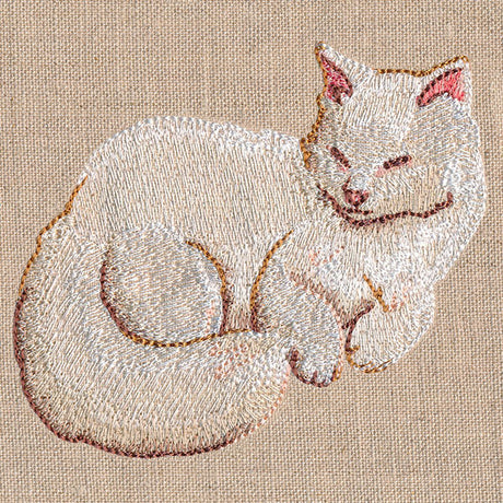 Soft & Sheer Cat