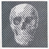 Emerging Illusion Skull