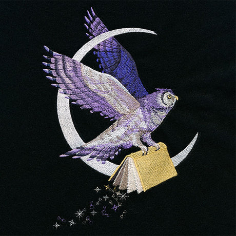 The Magic of Reading Celestial Owl