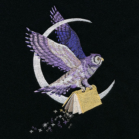 The Magic of Reading Celestial Owl