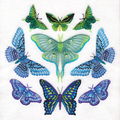 Moth Magic Eclipse