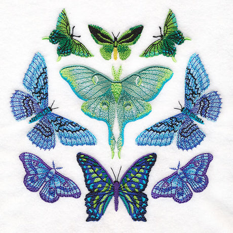 Moth Magic Eclipse