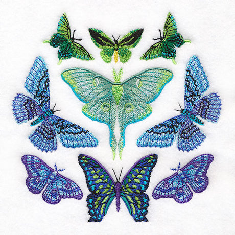 Moth Magic Eclipse