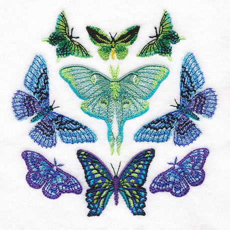 Moth Magic Eclipse