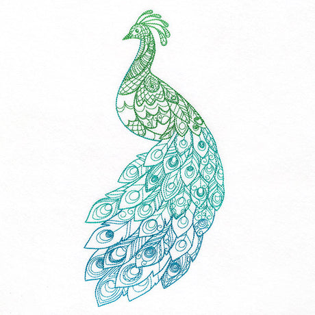 Ombre Majesty Peacock