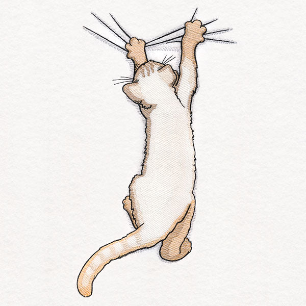 Hang in There Kitty