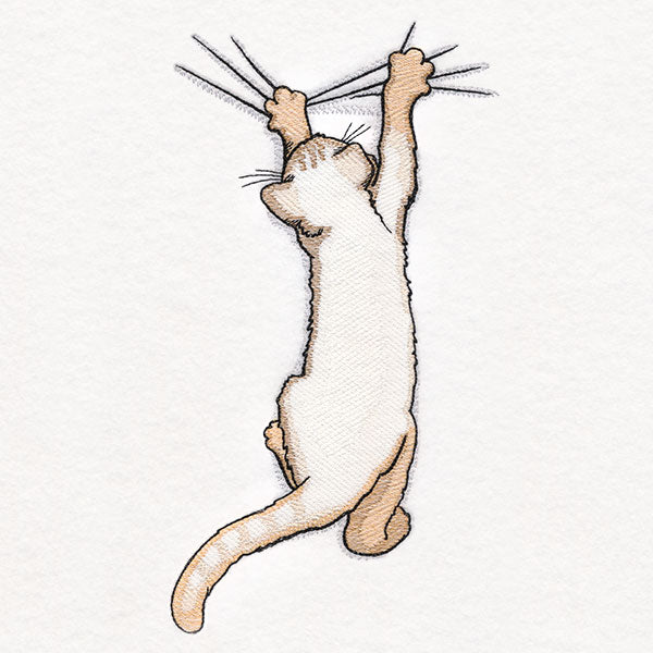 Hang in There Kitty