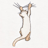 Hang in There Kitty