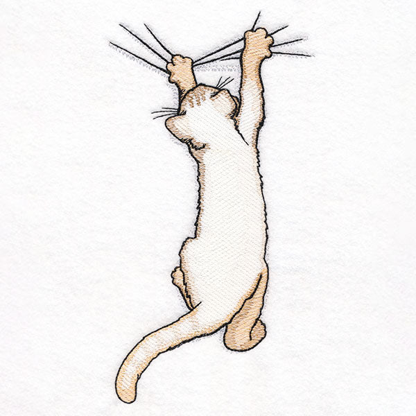 Hang in There Kitty