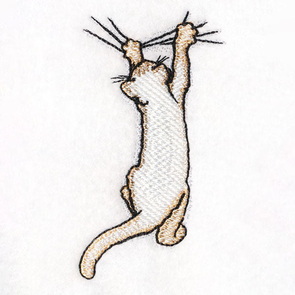 Hang in There Kitty