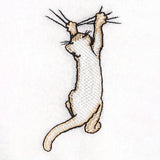 Hang in There Kitty