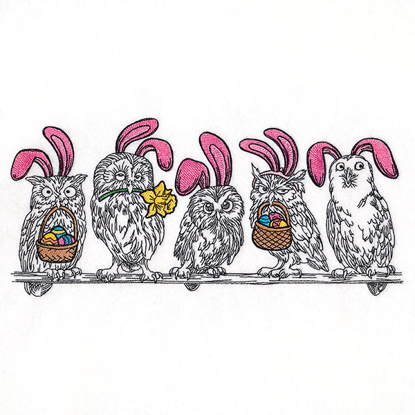 Whoo's Ready for Easter Owl Border
