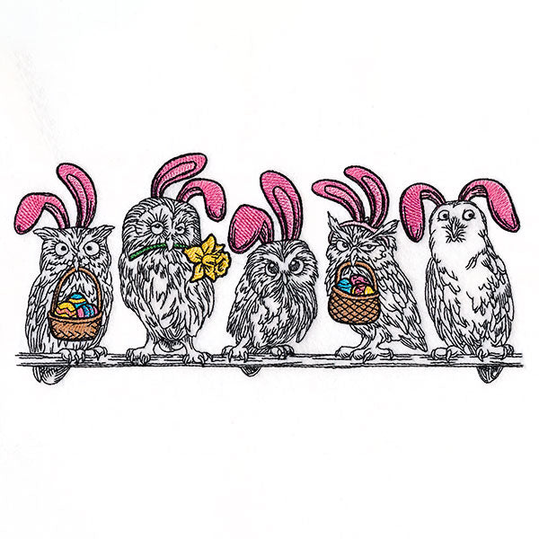 Whoo's Ready for Easter Owl Border