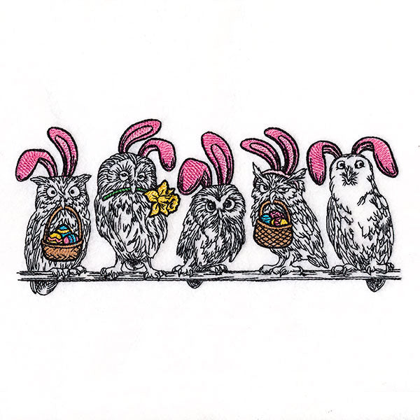 Whoo's Ready for Easter Owl Border