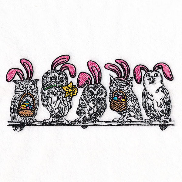 Whoo's Ready for Easter Owl Border
