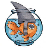 I'm a Shark Goldfish