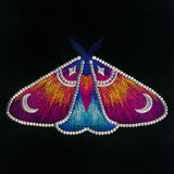 Into the Night Celestial Details Moth