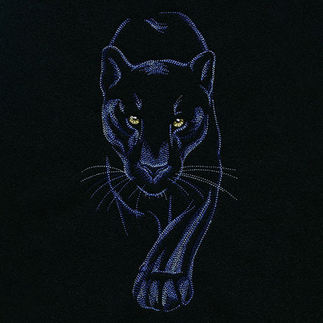 Midnight Panther