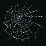 Spiraling Spiderwebs Feature