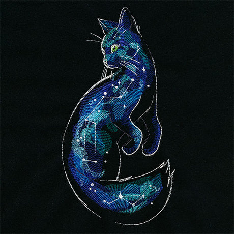 Of the Galaxy Cat