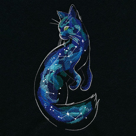 Of the Galaxy Cat
