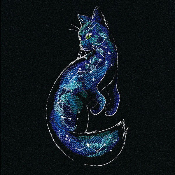 Of the Galaxy Cat