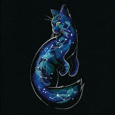 Of the Galaxy Cat