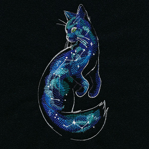 Of the Galaxy Cat
