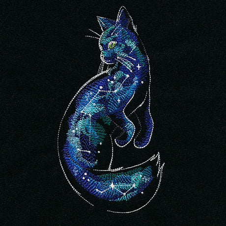Of the Galaxy Cat